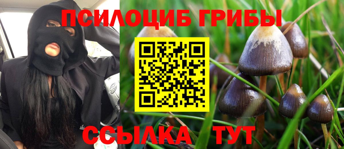 Галлюциногенные грибы мухоморы  Вход с VPN  Лениногорск  Галлюциногенные грибы Cubensis 